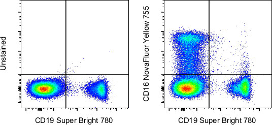 CD16 Antibody in Flow Cytometry (Flow)