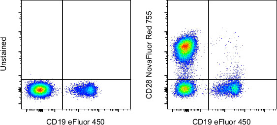 CD28 Antibody in Flow Cytometry (Flow)