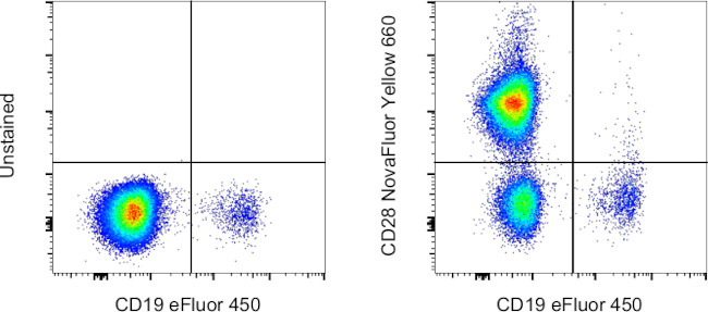 CD28 Antibody in Flow Cytometry (Flow)