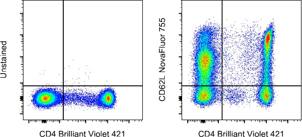 CD62L (L-Selectin) Antibody in Flow Cytometry (Flow)