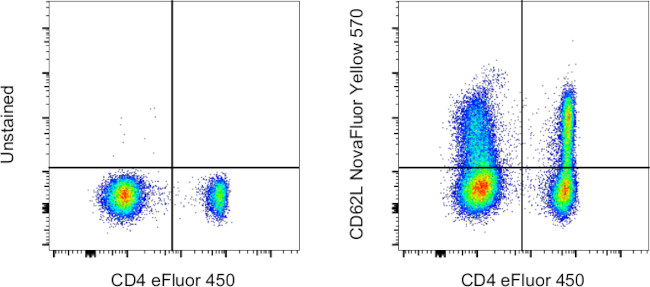 CD62L (L-Selectin) Antibody in Flow Cytometry (Flow)