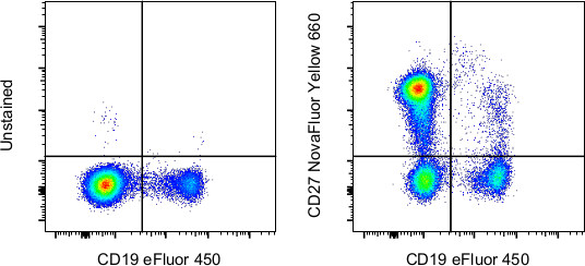 CD27 Antibody in Flow Cytometry (Flow)