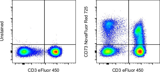 CD73 Antibody in Flow Cytometry (Flow)