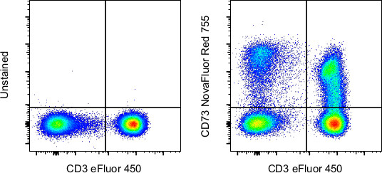 CD73 Antibody in Flow Cytometry (Flow)