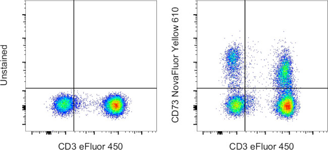 CD73 Antibody in Flow Cytometry (Flow)