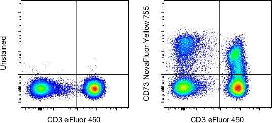 CD73 Antibody in Flow Cytometry (Flow)