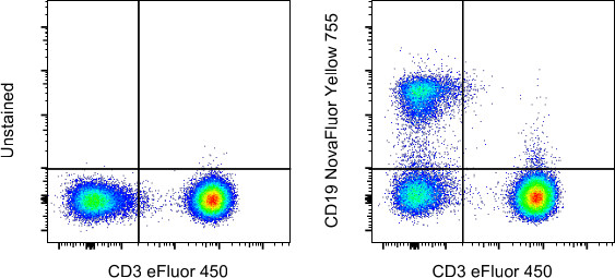 CD19 Antibody in Flow Cytometry (Flow)