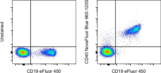 CD40 Antibody in Flow Cytometry (Flow)