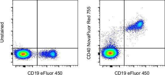 CD40 Antibody in Flow Cytometry (Flow)