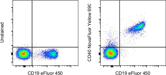 CD40 Antibody in Flow Cytometry (Flow)