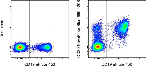 CD39 Antibody in Flow Cytometry (Flow)