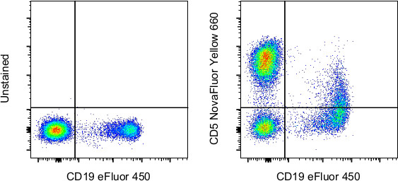 CD5 Antibody in Flow Cytometry (Flow)