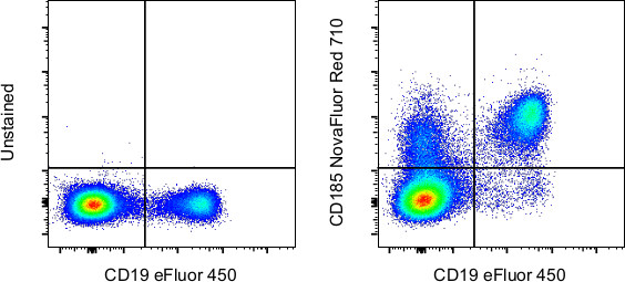 CD185 (CXCR5) Antibody in Flow Cytometry (Flow)