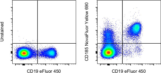 CD185 (CXCR5) Antibody in Flow Cytometry (Flow)