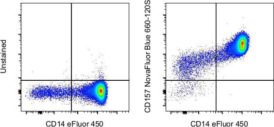 CD157 Antibody in Flow Cytometry (Flow)