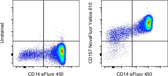 CD157 Antibody in Flow Cytometry (Flow)