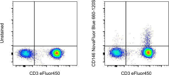 CD146 Antibody in Flow Cytometry (Flow)