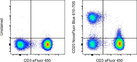 CD20 Antibody in Flow Cytometry (Flow)