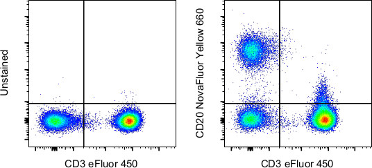 CD20 Antibody in Flow Cytometry (Flow)