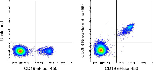 CD268 (BAFF Receptor) Antibody in Flow Cytometry (Flow)