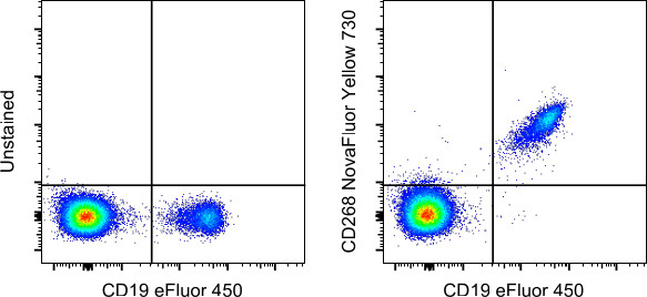 CD268 (BAFF Receptor) Antibody in Flow Cytometry (Flow)