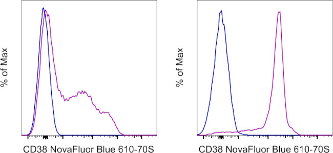 CD38 Antibody in Flow Cytometry (Flow)