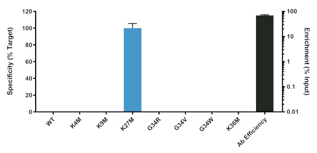 H3.3 K27M oncohistone mutant Antibody