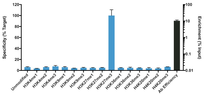 H3K27me3 Antibody