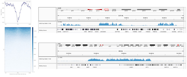 H3K27me3 Antibody in ChIP-Sequencing (ChIP-seq)