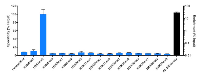 H3K4me2 Antibody