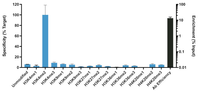 H3K4me2 Antibody