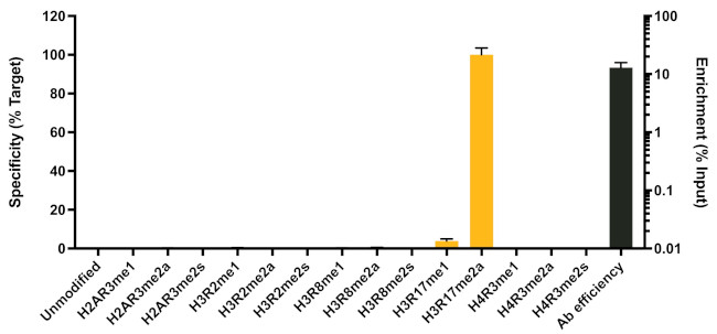 H3K27me1 Antibody