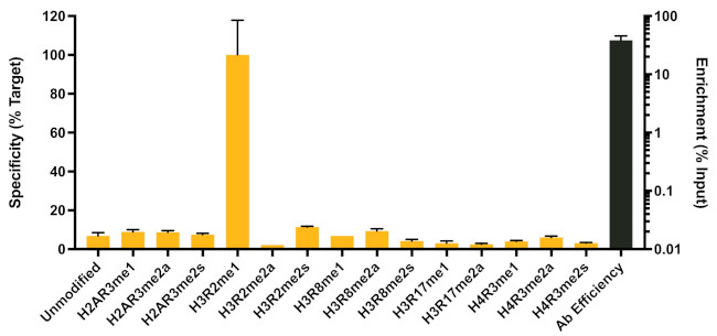 H3R2me1 Antibody