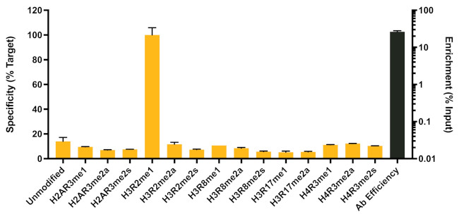 H3R2me1 Antibody