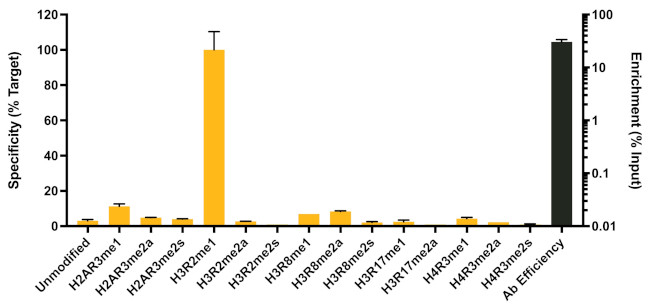 H3R2me1 Antibody