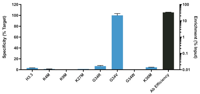 H3.3 G34V oncohistone mutant Antibody in ChIP Assay (ChIP)