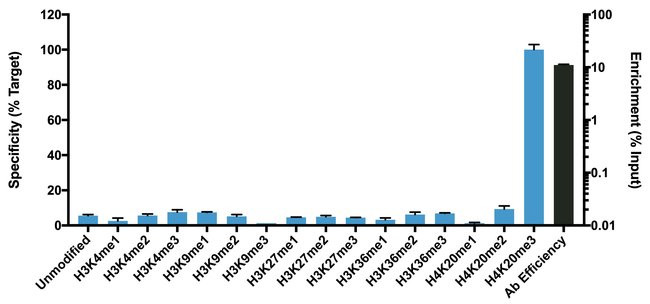 H4K20me3 Antibody in ChIP Assay (ChIP)