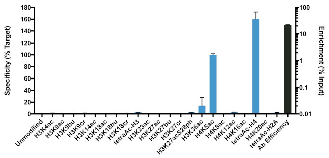 H4K5ac Antibody