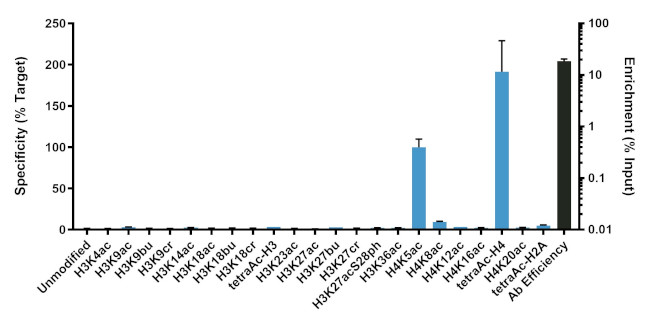 H4K5ac Antibody in ChIP Assay (ChIP)