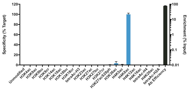 H4K8ac Antibody in ChIP Assay (ChIP)