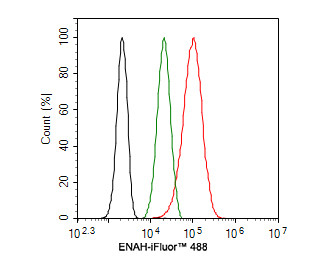 ENAH Antibody in Flow Cytometry (Flow)