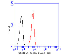 Gastrin Antibody in Flow Cytometry (Flow)