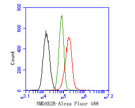 NMDAR2B Antibody in Flow Cytometry (Flow)