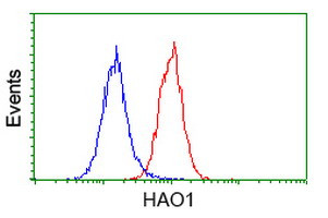 HAO1 Antibody in Flow Cytometry (Flow)