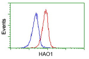 HAO1 Antibody in Flow Cytometry (Flow)