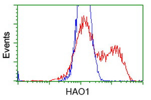 HAO1 Antibody in Flow Cytometry (Flow)