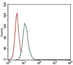 HAS3 Antibody in Flow Cytometry (Flow)