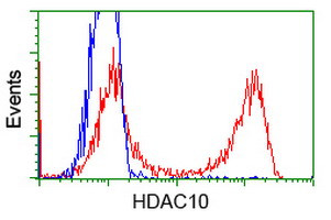 HDAC10 Antibody in Flow Cytometry (Flow)