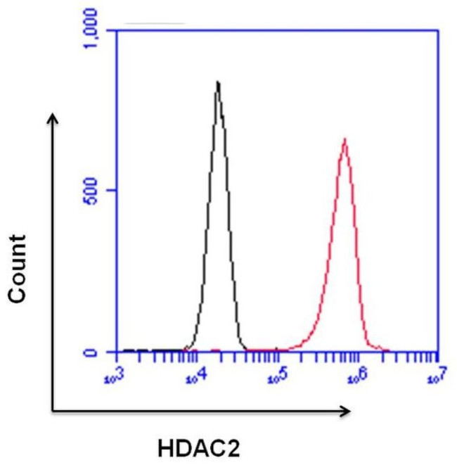 HDAC2 Antibody in Flow Cytometry (Flow)