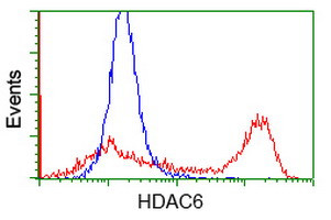 HDAC6 Antibody in Flow Cytometry (Flow)